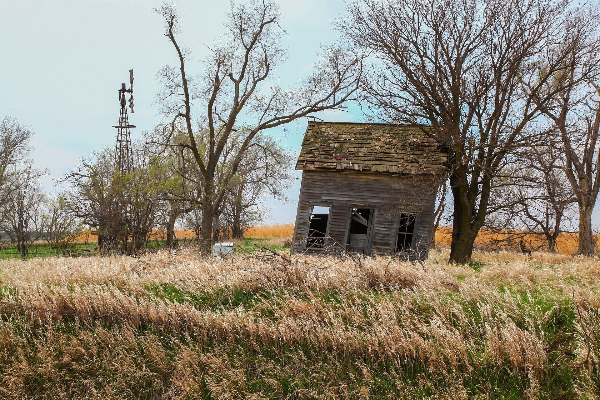 An old white farmhouse stands among trees on the open Nebraska plains. A Wikimedia Commons photograph on Brent O'Mara Insights.