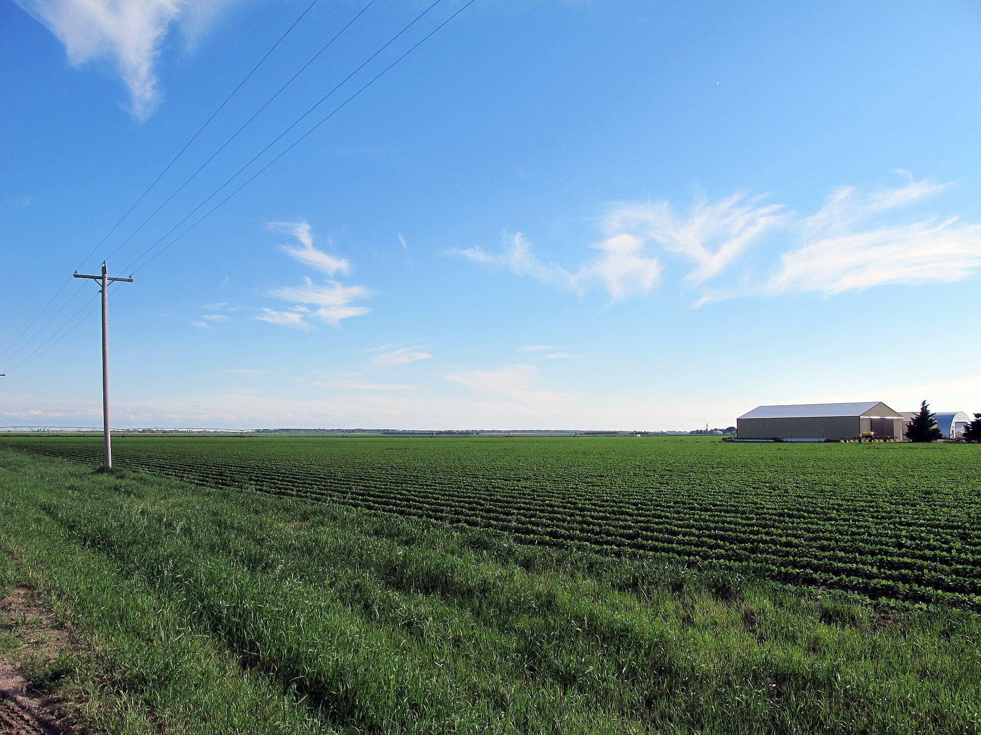 Open farmland in Kearney County Nebraska under a wide sky. A Wikimedia Commons photograph on Brent O'Mara Insights.
