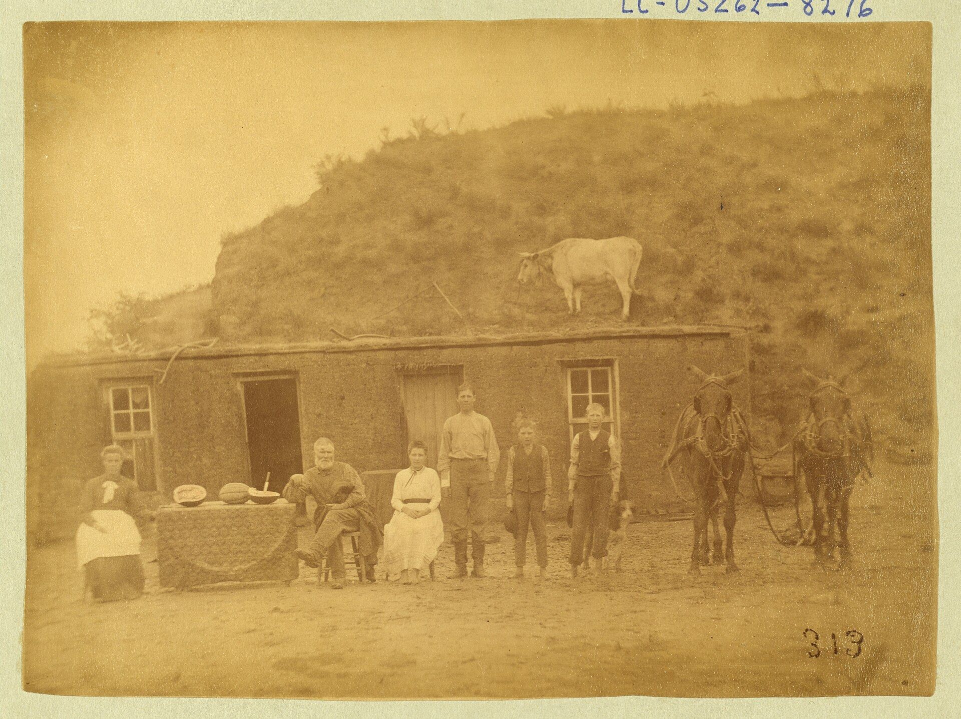 A homesteading family of the 1880s poses outside a sod house in Custer County with their l. A Wikimedia Commons photograph on Brent O'Mara Insights.