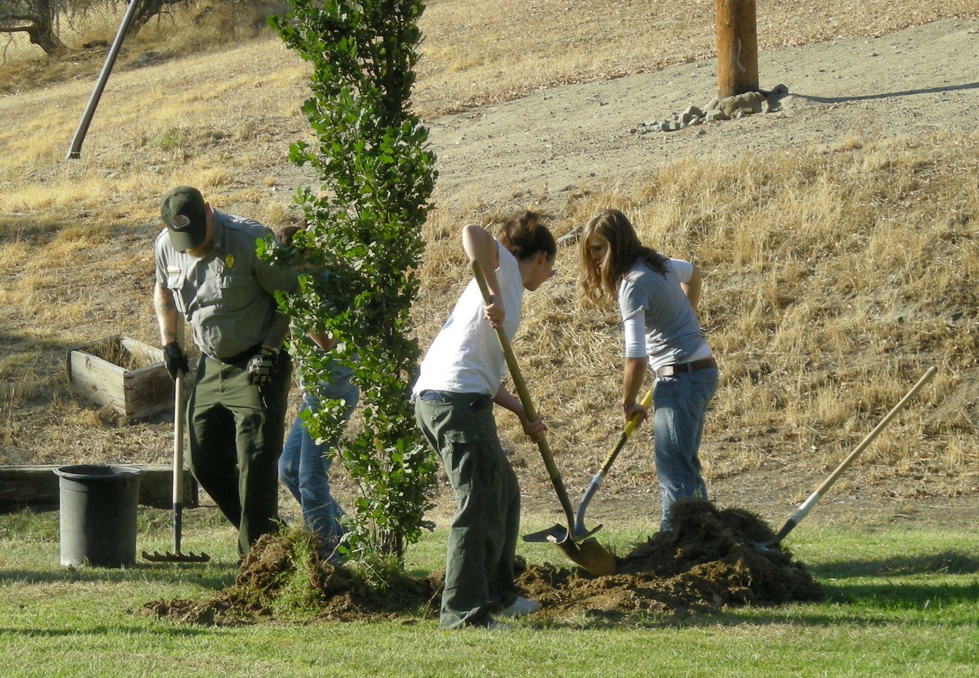 Volunteers plant trees on a public lands day. A Wikimedia Commons photograph on Brent O'Mara Insights.